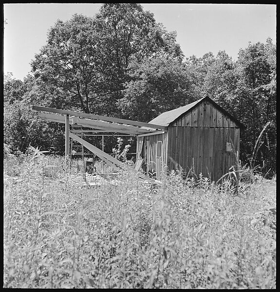 [38 Portraits and Views: Michael Voorhees (14) and Walker Evans' Studio Addition Under Construction (24), Old Lyme, Connecticut], Walker Evans (American, St. Louis, Missouri 1903–1975 New Haven, Connecticut), Film negative
