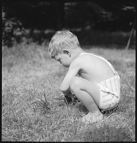 [7 Portraits of Unidentified Boy on Lawn and Cat], Walker Evans (American, St. Louis, Missouri 1903–1975 New Haven, Connecticut), Film negative