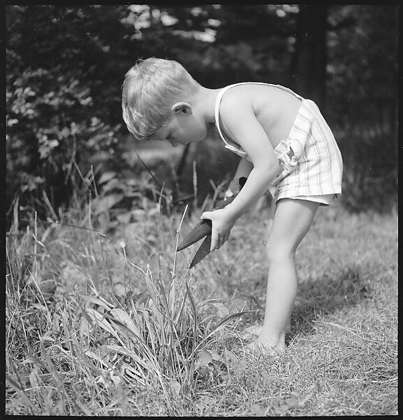 [7 Portraits of Unidentified Boy on Lawn and Cat], Walker Evans (American, St. Louis, Missouri 1903–1975 New Haven, Connecticut), Film negative