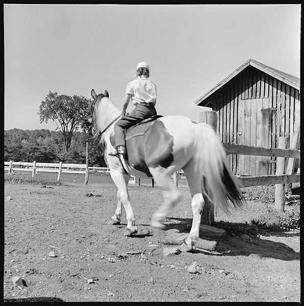 [8 Views of Mabry Child's Riding Lesson, Stockbridge, Massachusetts], Walker Evans (American, St. Louis, Missouri 1903–1975 New Haven, Connecticut), Film negative