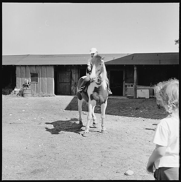 [8 Views of Mabry Child's Riding Lesson, Stockbridge, Massachusetts], Walker Evans (American, St. Louis, Missouri 1903–1975 New Haven, Connecticut), Film negative