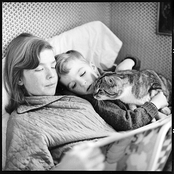 [48 Portraits of Coggeshall Children Reading in Bed; Caroline Blackwood; Robert and Mary Frank], Walker Evans (American, St. Louis, Missouri 1903–1975 New Haven, Connecticut), Film negative