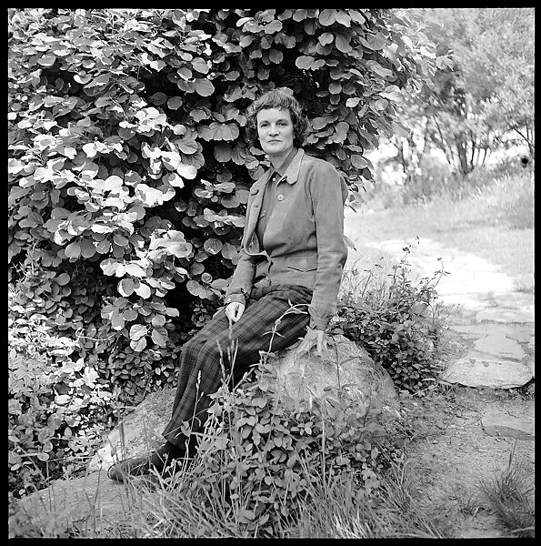 [131 Portraits and Studies: Eliza Parkinson and Her Daughter at Saunderstown, Rhode Island, Fisher's Island, New York (108) and Façade Details (9)], Walker Evans (American, St. Louis, Missouri 1903–1975 New Haven, Connecticut), Film negative