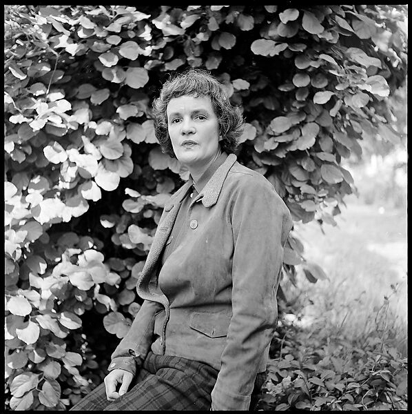 [131 Portraits and Studies: Eliza Parkinson and Her Daughter at Saunderstown, Rhode Island, Fisher's Island, New York (108) and Façade Details (9)], Walker Evans (American, St. Louis, Missouri 1903–1975 New Haven, Connecticut), Film negative