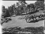 [8 Portraits and Views: Walker Evans (3) and House (5)], Unknown (American), Film negative