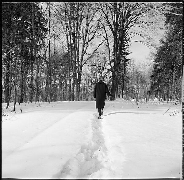 [48 Views of Dupee House and Portraits of Family Members], Walker Evans (American, St. Louis, Missouri 1903–1975 New Haven, Connecticut), Film negative
