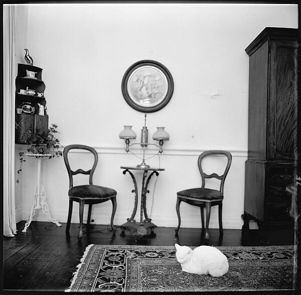 [48 Views of Dupee House and Portraits of Family Members], Walker Evans (American, St. Louis, Missouri 1903–1975 New Haven, Connecticut), Film negative