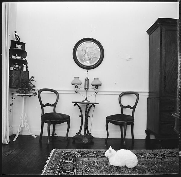 [48 Views of Dupee House and Portraits of Family Members], Walker Evans (American, St. Louis, Missouri 1903–1975 New Haven, Connecticut), Film negative