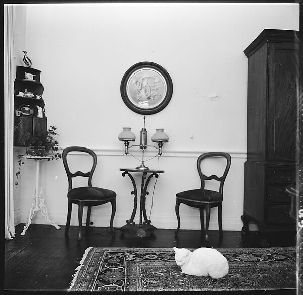 [48 Views of Dupee House and Portraits of Family Members], Walker Evans (American, St. Louis, Missouri 1903–1975 New Haven, Connecticut), Film negative