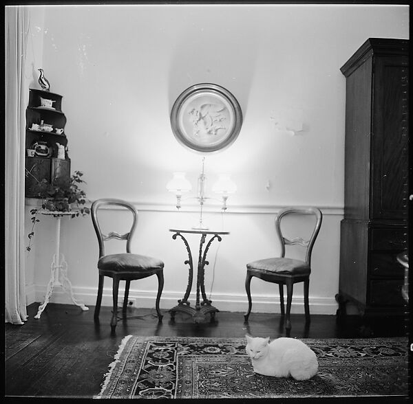 [48 Views of Dupee House and Portraits of Family Members], Walker Evans (American, St. Louis, Missouri 1903–1975 New Haven, Connecticut), Film negative