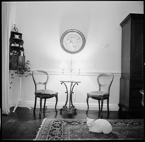 [48 Views of Dupee House and Portraits of Family Members], Walker Evans (American, St. Louis, Missouri 1903–1975 New Haven, Connecticut), Film negative