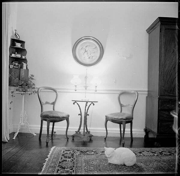 [48 Views of Dupee House and Portraits of Family Members], Walker Evans (American, St. Louis, Missouri 1903–1975 New Haven, Connecticut), Film negative
