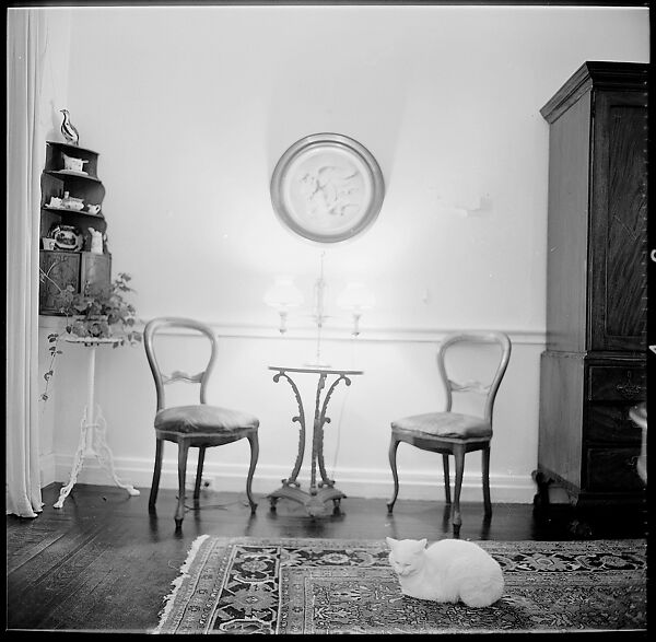[48 Views of Dupee House and Portraits of Family Members], Walker Evans (American, St. Louis, Missouri 1903–1975 New Haven, Connecticut), Film negative