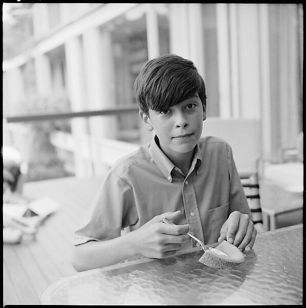[237 Portraits of Frank W. Hoch and His Family at Home, Irvington-on-Hudson, New York], Walker Evans (American, St. Louis, Missouri 1903–1975 New Haven, Connecticut), Film negative