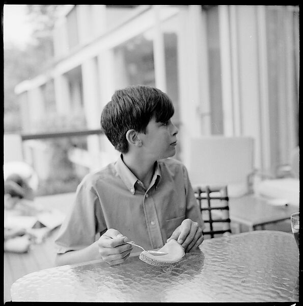 [237 Portraits of Frank W. Hoch and His Family at Home, Irvington-on-Hudson, New York], Walker Evans (American, St. Louis, Missouri 1903–1975 New Haven, Connecticut), Film negative