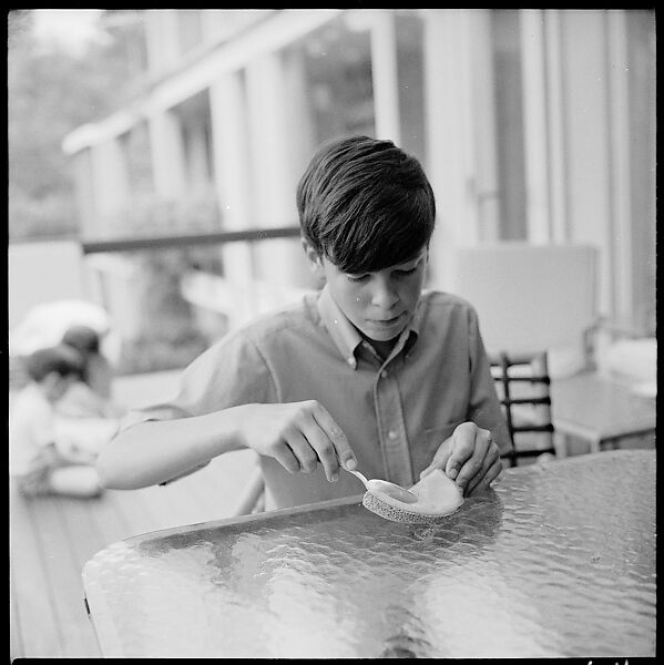 [237 Portraits of Frank W. Hoch and His Family at Home, Irvington-on-Hudson, New York], Walker Evans (American, St. Louis, Missouri 1903–1975 New Haven, Connecticut), Film negative