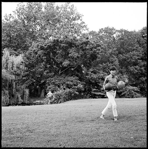 [237 Portraits of Frank W. Hoch and His Family at Home, Irvington-on-Hudson, New York], Walker Evans (American, St. Louis, Missouri 1903–1975 New Haven, Connecticut), Film negative