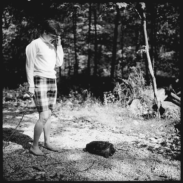 [89 Portraits and Snapshots: Carrol Cooney and Bocce Tournament Spectators, Turtle at Old Lyme Country Club, Old Lyme, Connecticut], Walker Evans (American, St. Louis, Missouri 1903–1975 New Haven, Connecticut), Film negative