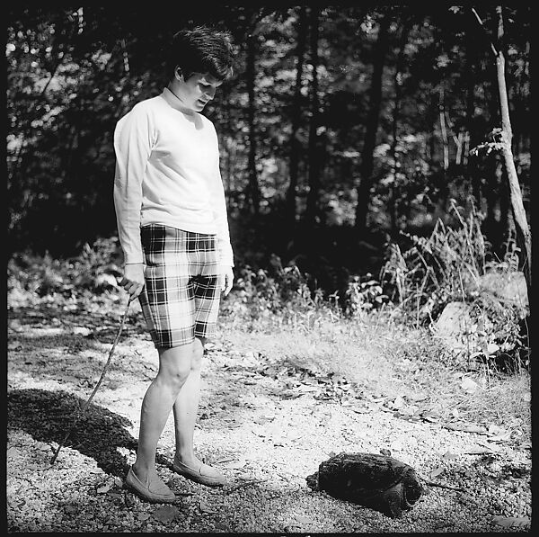 [89 Portraits and Snapshots: Carrol Cooney and Bocce Tournament Spectators, Turtle at Old Lyme Country Club, Old Lyme, Connecticut], Walker Evans (American, St. Louis, Missouri 1903–1975 New Haven, Connecticut), Film negative
