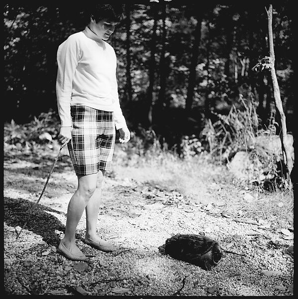[89 Portraits and Snapshots: Carrol Cooney and Bocce Tournament Spectators, Turtle at Old Lyme Country Club, Old Lyme, Connecticut], Walker Evans (American, St. Louis, Missouri 1903–1975 New Haven, Connecticut), Film negative