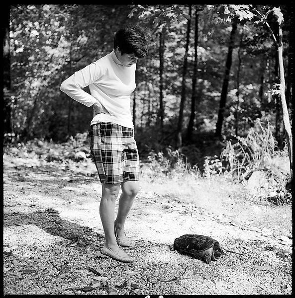 [89 Portraits and Snapshots: Carrol Cooney and Bocce Tournament Spectators, Turtle at Old Lyme Country Club, Old Lyme, Connecticut], Walker Evans (American, St. Louis, Missouri 1903–1975 New Haven, Connecticut), Film negative