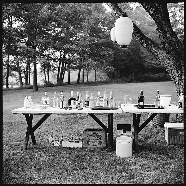 [36 Portraits and Studies: "Lohman" Outdoor Cocktail Party, Connecticut], Walker Evans (American, St. Louis, Missouri 1903–1975 New Haven, Connecticut), Film negative 