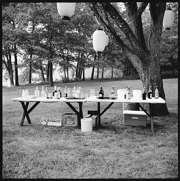 [36 Portraits and Studies: "Lohman" Outdoor Cocktail Party, Connecticut], Walker Evans (American, St. Louis, Missouri 1903–1975 New Haven, Connecticut), Film negative
