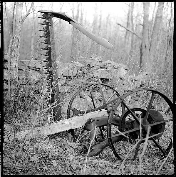 [6 Studies of Junked Wagon in Field and Sedat Pakay with Movie Camera, Old Lyme, Connecticut], Walker Evans (American, St. Louis, Missouri 1903–1975 New Haven, Connecticut), Film negative