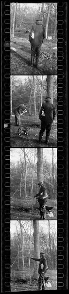 [Four 35mm Film Frames: Elderly Man in Woods Carrying Newspaper with Dog on Leash], Walker Evans (American, St. Louis, Missouri 1903–1975 New Haven, Connecticut), Film negative