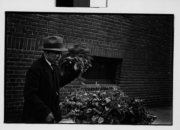 [Two 35mm Film Frames: Vendor with Flowers in Baby Carriage on Sidewalk], Walker Evans (American, St. Louis, Missouri 1903–1975 New Haven, Connecticut), Film negative