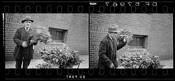 [Two 35mm Film Frames: Vendor with Flowers in Baby Carriage on Sidewalk], Walker Evans (American, St. Louis, Missouri 1903–1975 New Haven, Connecticut), Film negative