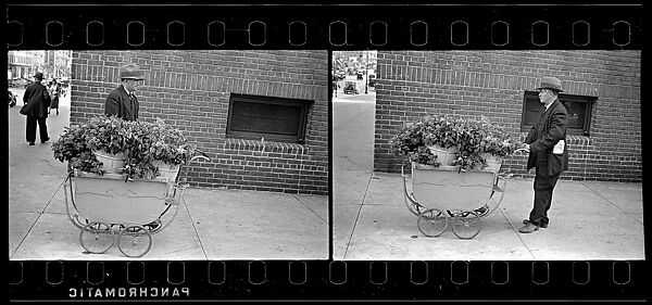 [Two 35mm Film Frames: Vendor with Flowers in Baby Carriage on Sidewalk], Walker Evans (American, St. Louis, Missouri 1903–1975 New Haven, Connecticut), Film negative