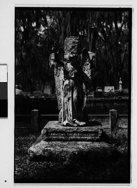 [Five 35mm Film Frames: Gravestones, Georgia], Walker Evans (American, St. Louis, Missouri 1903–1975 New Haven, Connecticut), Film negative
