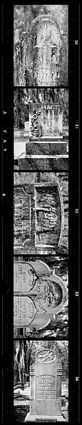 [Five 35mm Film Frames: Gravestones, Georgia], Walker Evans (American, St. Louis, Missouri 1903–1975 New Haven, Connecticut), Film negative