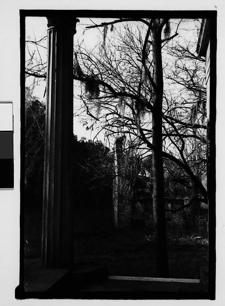 [Brick Slave Cabin from Plantation House Porch, Savannah Vicinity, Georgia], Walker Evans (American, St. Louis, Missouri 1903–1975 New Haven, Connecticut), Film negative 