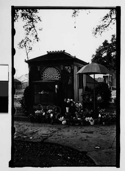 [Flower Shop, Mobile, Alabama], Walker Evans (American, St. Louis, Missouri 1903–1975 New Haven, Connecticut), Film negative 