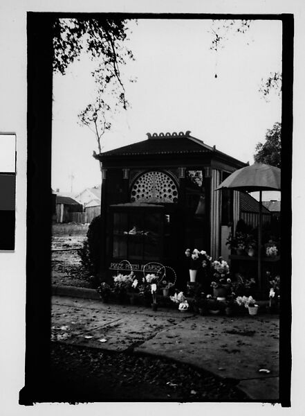 [Flower Shop, Mobile, Alabama], Walker Evans (American, St. Louis, Missouri 1903–1975 New Haven, Connecticut), Film negative 