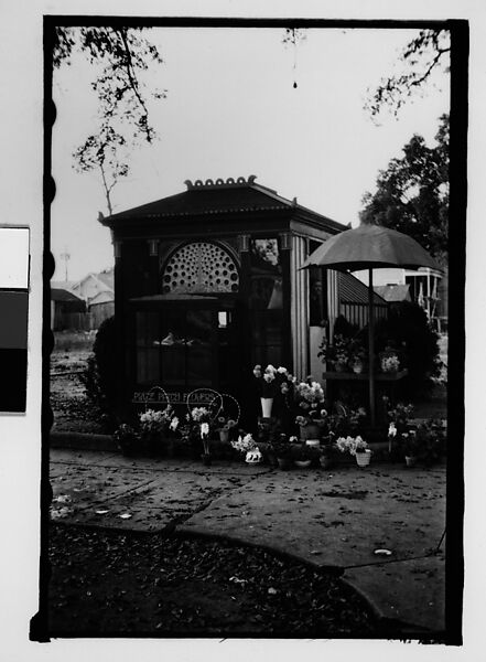 [Flower Shop, Mobile, Alabama], Walker Evans (American, St. Louis, Missouri 1903–1975 New Haven, Connecticut), Film negative 