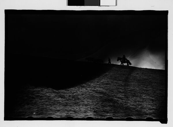 [Cattle and Herdsmen on Horseback, From Automobile, New Orleans Vicinity, Louisiana], Walker Evans (American, St. Louis, Missouri 1903–1975 New Haven, Connecticut), Film negative 