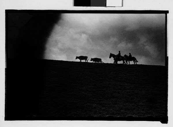 [Cattle and Herdsmen on Horseback, From Automobile, New Orleans Vicinity, Louisiana], Walker Evans (American, St. Louis, Missouri 1903–1975 New Haven, Connecticut), Film negative