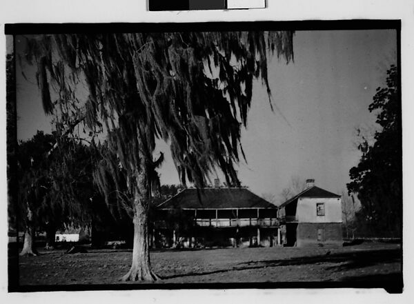 [Ormond Plantation House, St. Charles Parish, Louisiana], Walker Evans (American, St. Louis, Missouri 1903–1975 New Haven, Connecticut), Film negative 