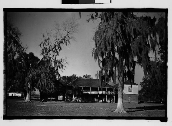 [Ormond Plantation House, St. Charles Parish, Louisiana], Walker Evans (American, St. Louis, Missouri 1903–1975 New Haven, Connecticut), Film negative 