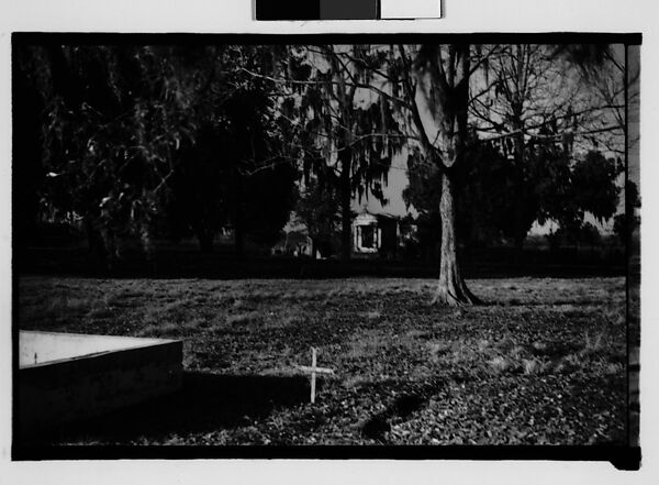 [Mausoleum From Across Lawn, Ormond Plantation?, St. Charles Parish, Louisiana], Walker Evans (American, St. Louis, Missouri 1903–1975 New Haven, Connecticut), Film negative 