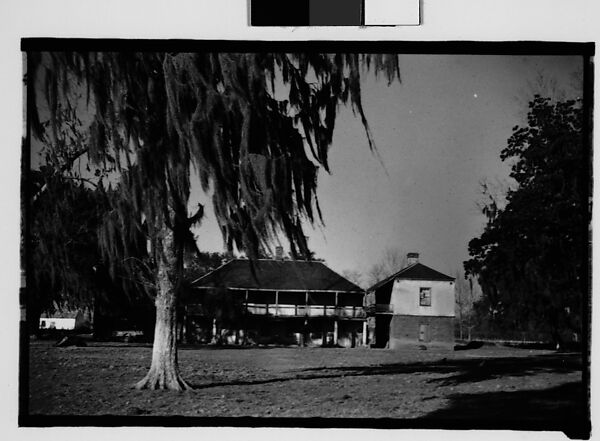 [Ormond Plantation House, St. Charles Parish, Louisiana], Walker Evans (American, St. Louis, Missouri 1903–1975 New Haven, Connecticut), Film negative 