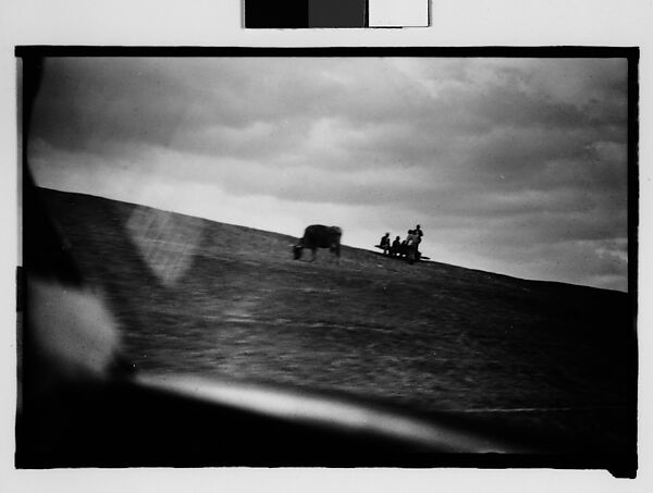 [People and Grazing Cattle on Levee, From Moving Automobile, New Orleans Vicinity, Louisiana], Walker Evans (American, St. Louis, Missouri 1903–1975 New Haven, Connecticut), Film negative 