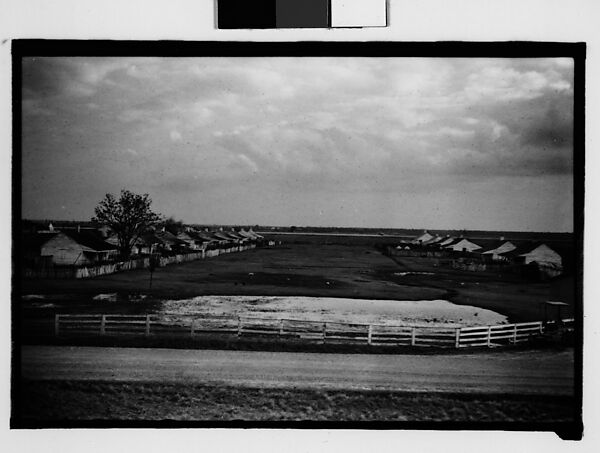 [Two Rows of Wooden Houses in Field, From Levee, New Orleans Vicinity, Louisiana], Walker Evans (American, St. Louis, Missouri 1903–1975 New Haven, Connecticut), Film negative 