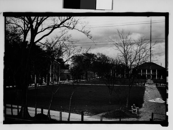 [Greek Revival Houses Around Square, From Elevated Position, New Orleans Vicinity, Louisiana], Walker Evans (American, St. Louis, Missouri 1903–1975 New Haven, Connecticut), Film negative 