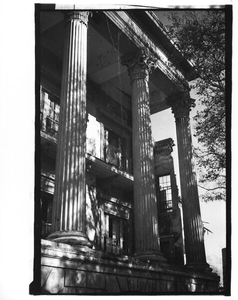 [Cypress Trees, From Moving Automobile, New Orleans Vicinity, Louisiana], Walker Evans (American, St. Louis, Missouri 1903–1975 New Haven, Connecticut), Film negative 