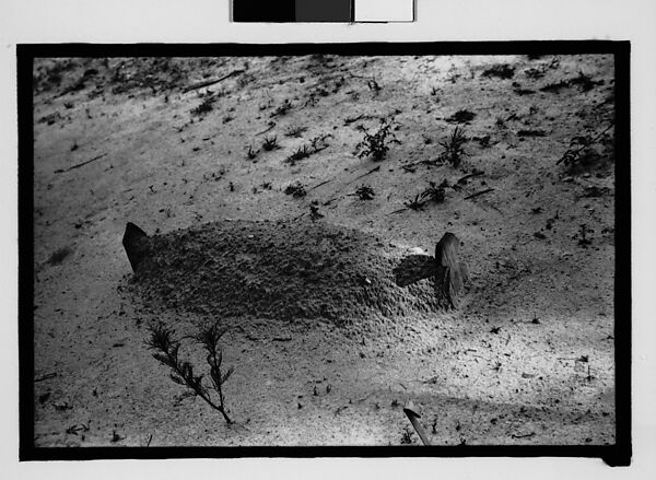 [Grave, Alabama], Walker Evans (American, St. Louis, Missouri 1903–1975 New Haven, Connecticut), Film negative 
