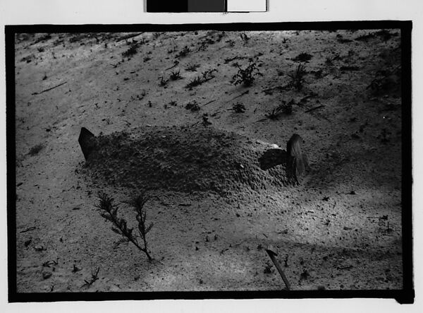 [Grave, Alabama], Walker Evans (American, St. Louis, Missouri 1903–1975 New Haven, Connecticut), Film negative 